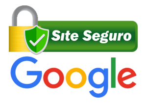 ico-seguranca-google
